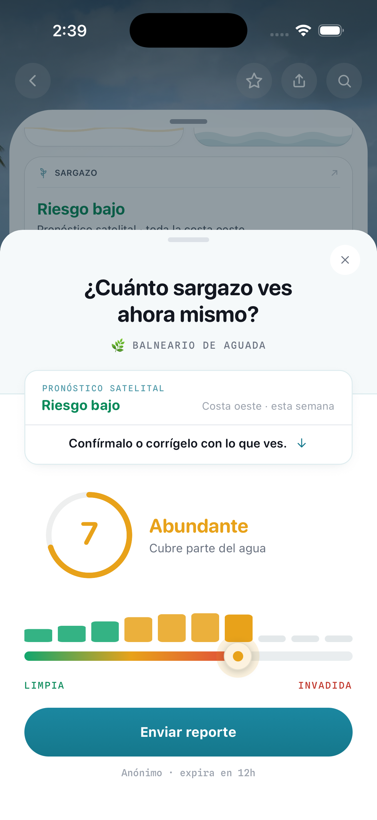 Costa - reportar sargazo en El Escambrón, del 1 al 10
