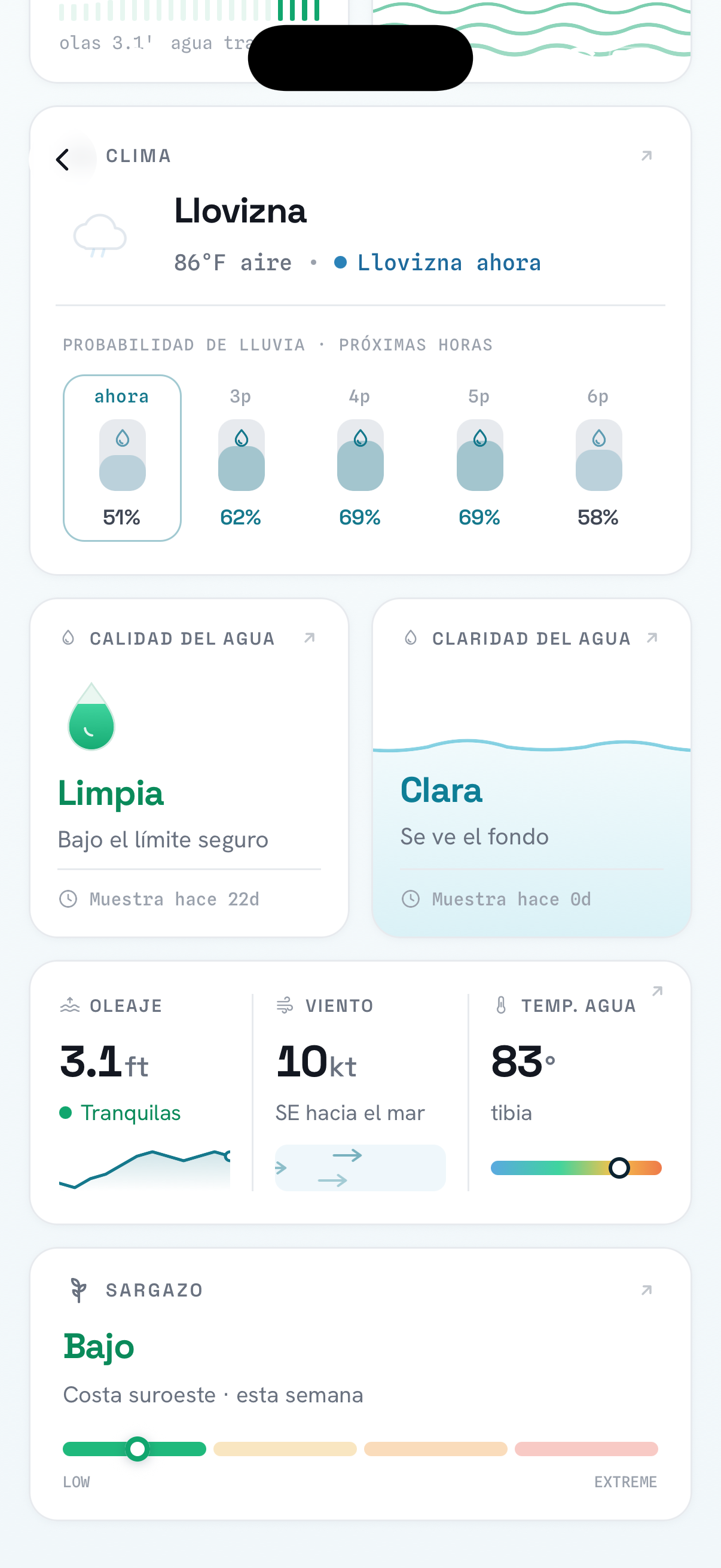 Costa — detalle de condiciones: oleaje, viento y calidad del agua